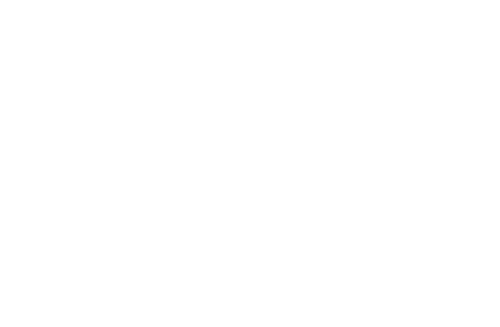 VELOCITY